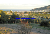 Casa de camp amb terreny en venda a la España, l'Alfàs del Pi, ref.: TR133853 foto