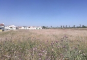 Parcel·la urbanitzable en venda a la España, Linares, ref.: TR114267 foto