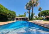 Casa de campo con terreno en venta en la España, Roda de Berà, ref: TR141608 foto