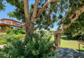 Casa de campo con terreno en venta en la España, Roda de Berà, ref: TR141608 foto