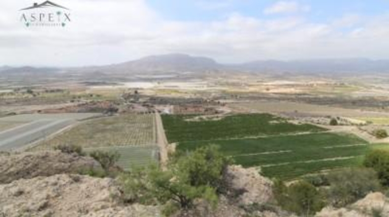 Alicante - Monforte del Cid - 420000m2