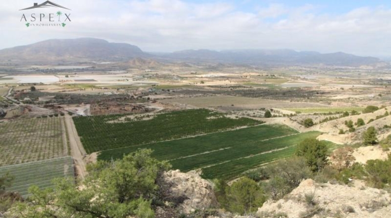 Alicante - Monforte del Cid - 420000m2