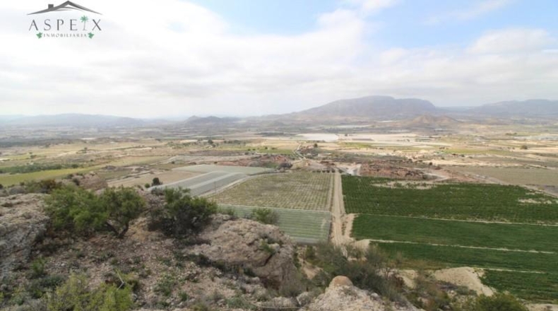 Alicante - Monforte del Cid - 420000m2