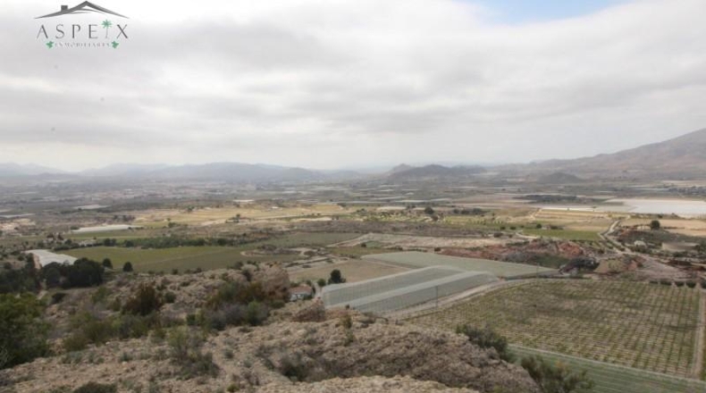 Alicante - Monforte del Cid - 420000m2