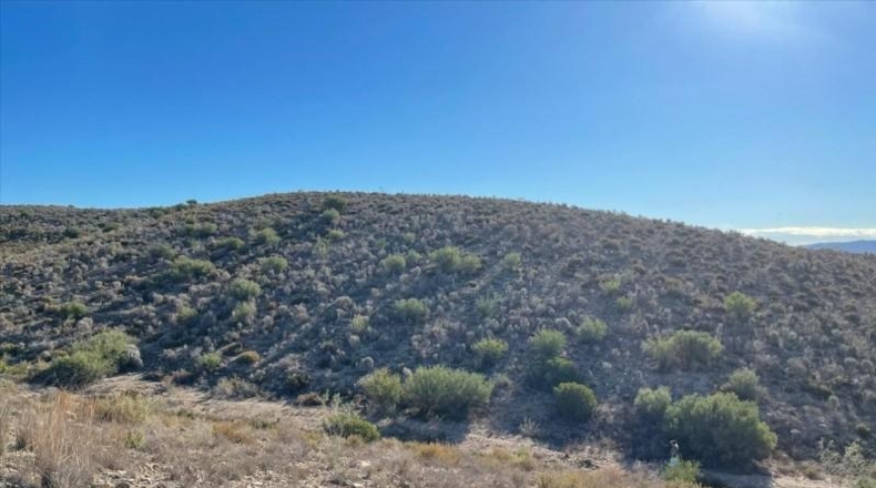 Murcia - Molina de Segura - 37200m2