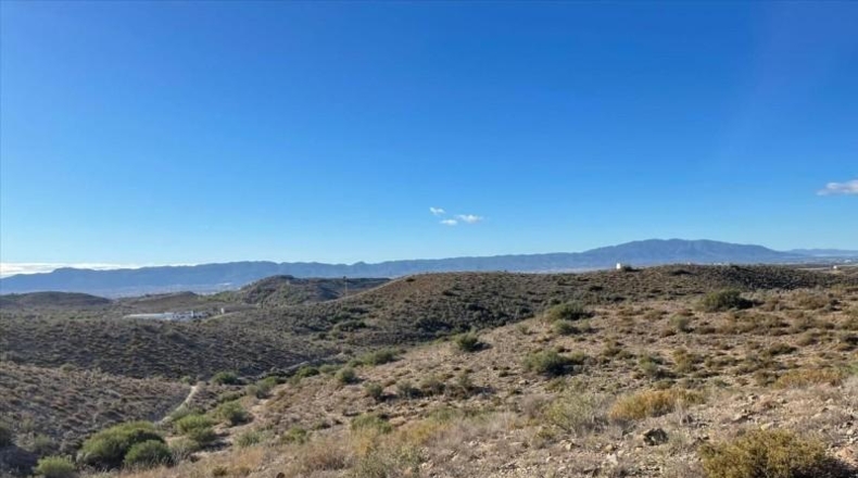 Murcia - Molina de Segura - 37200m2