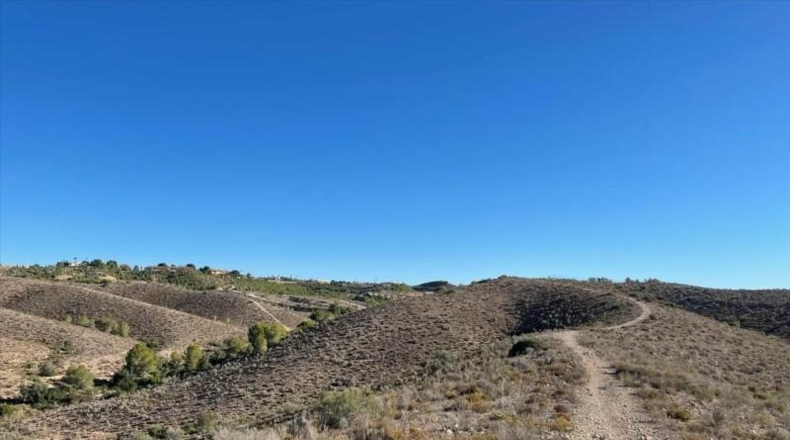 Murcia - Molina de Segura - 37200m2