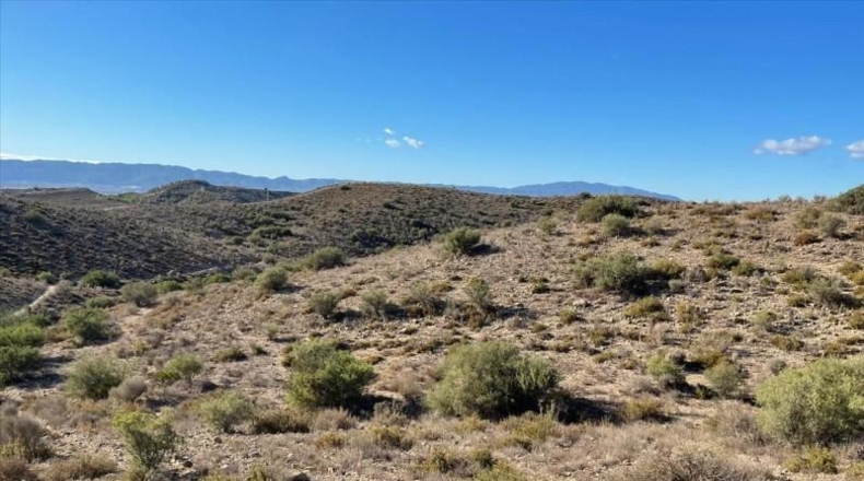 Murcia - Molina de Segura - 37200m2