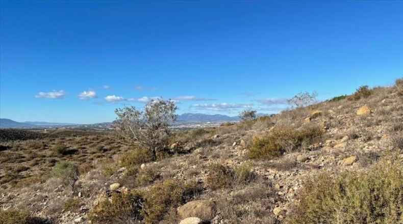 Murcia - Molina de Segura - 37200m2