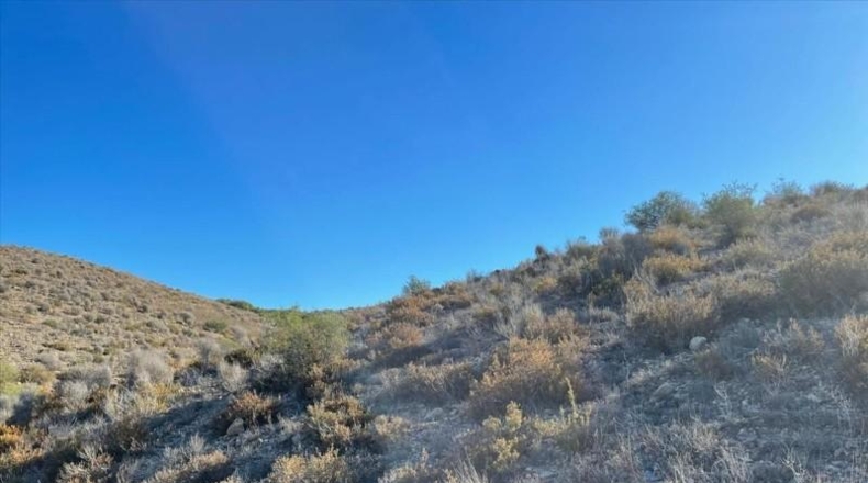 Murcia - Molina de Segura - 37200m2