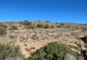 Parcel·la urbanitzable en venda a la España, Molina de Segura, ref.: TR328728 foto