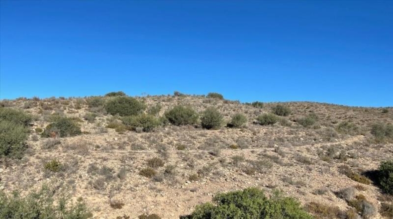 Murcia - Molina de Segura - 37200m2