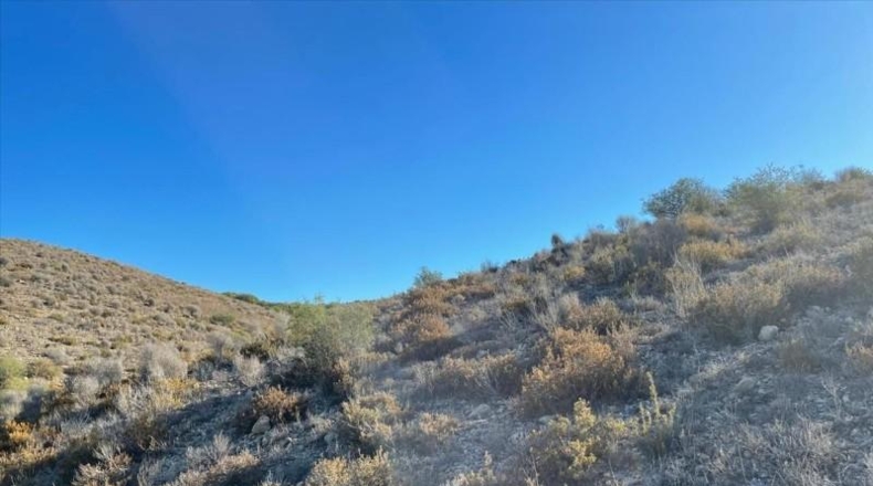 Murcia - Molina de Segura - 37200m2