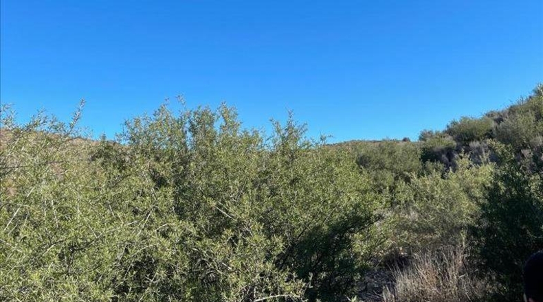 Murcia - Molina de Segura - 37200m2