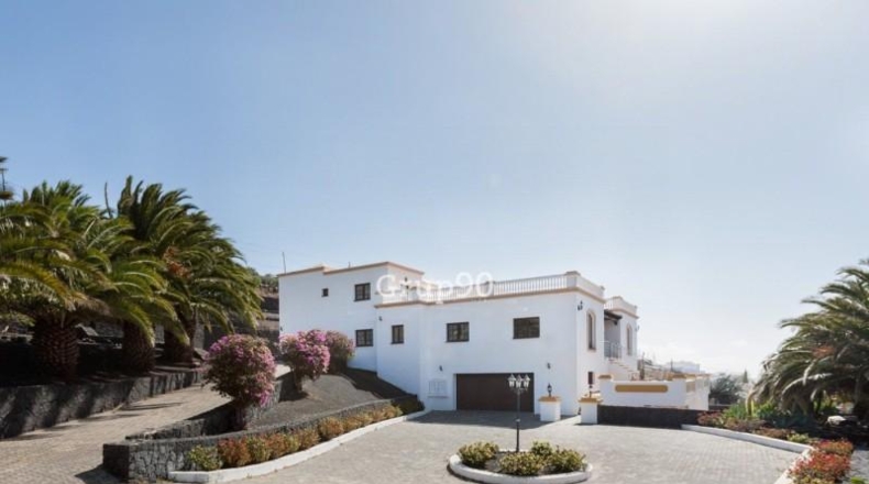 Las Palmas - Teguise - 4487m2