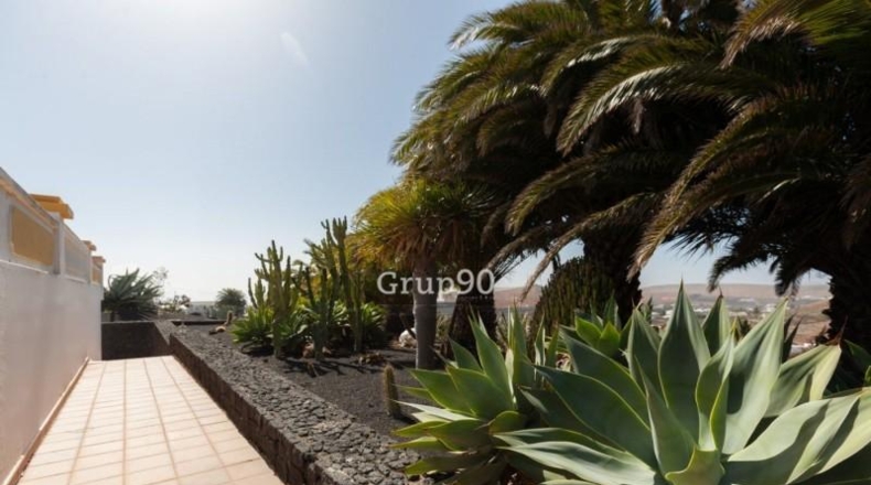 Las Palmas - Teguise - 4487m2