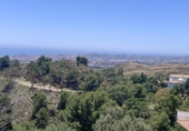 Detached villa with land for sale on España, Campo-Mijas, ref: TR240069 photo