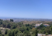 Detached villa with land for sale on España, Campo-Mijas, ref: TR240069 photo