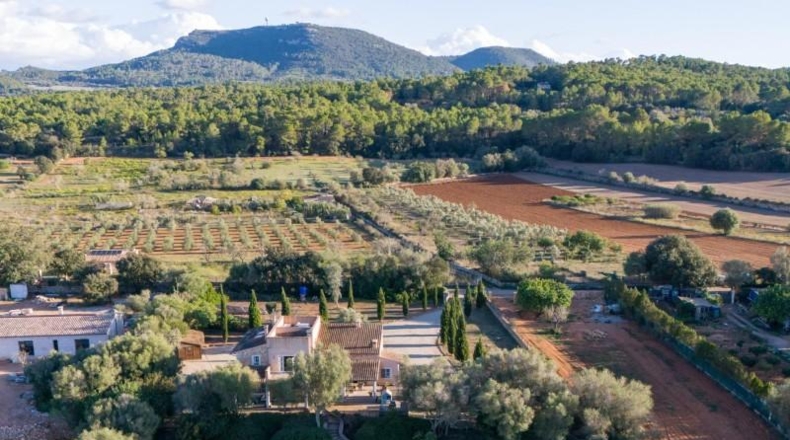 Islas Baleares - Algaida - 15571m2
