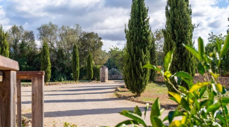 Islas Baleares - Algaida - 15571m2