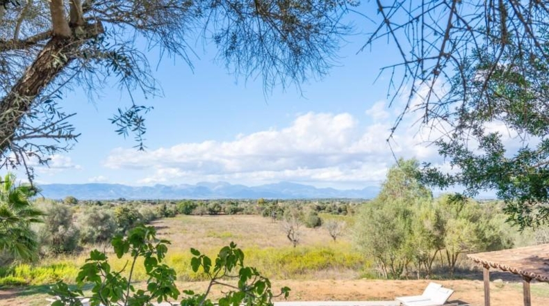 Islas Baleares - Algaida - 15571m2