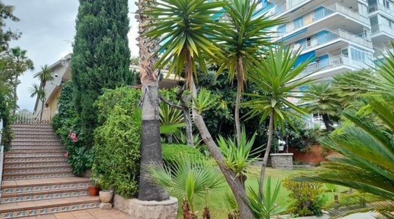 Castellon - Benicasim - 1227m2