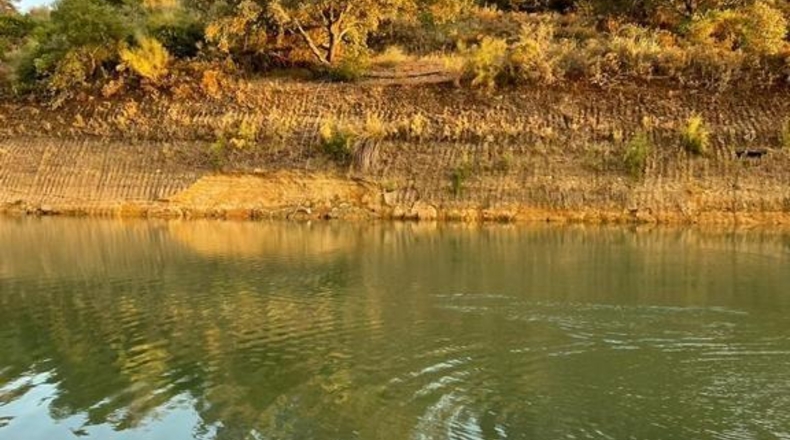 Huelva - Escacena del Campo - 950000m2