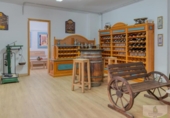 Detached villa with land for sale on España, Campo-Mijas, ref: TR331925 photo
