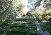 Sòl urbà en venda a la España, Llucmajor, ref.: TR317359 foto