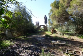 Foto 1