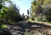 Sòl urbà en venda a la España, Llucmajor, ref.: TR317359 foto
