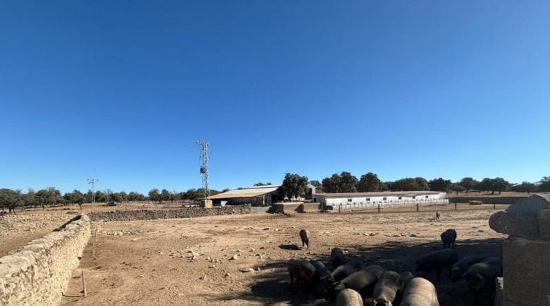 Córdoba - Pozoblanco - 1165619m2