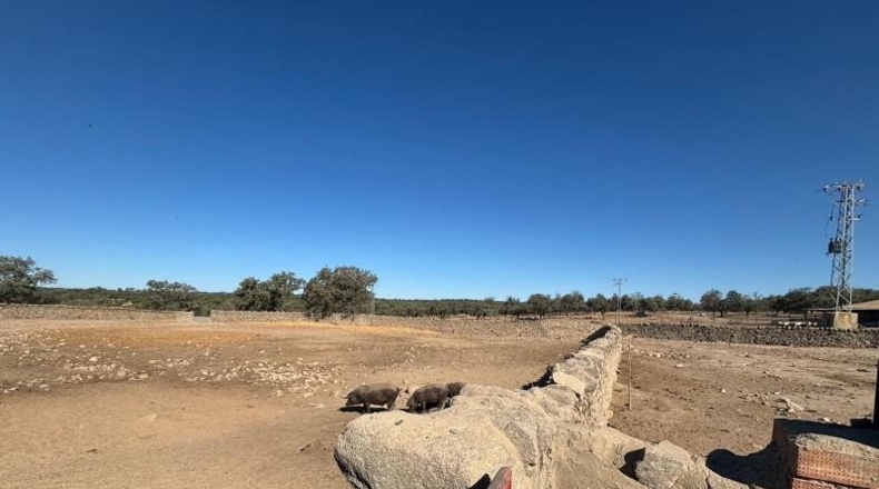 Córdoba - Pozoblanco - 1165619m2