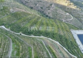 Terreny no urbanitzable en venda a la España, Vélez-Málaga, ref.: TR363459 foto