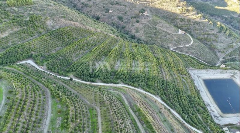Málaga - Vélez-Málaga - 180000m2