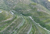 Terreny no urbanitzable en venda a la España, Vélez-Málaga, ref.: TR363459 foto