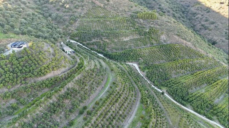 Málaga - Vélez-Málaga - 180000m2