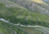 Terreny no urbanitzable en venda a la España, Vélez-Málaga, ref.: TR363459 foto