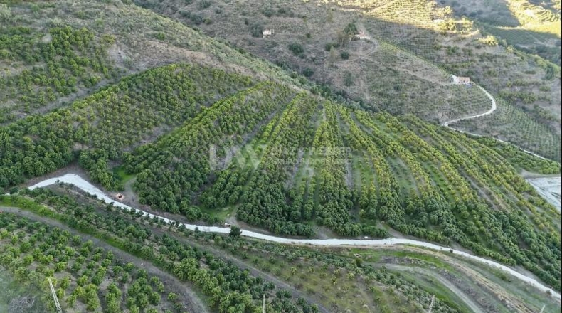 Málaga - Vélez-Málaga - 180000m2