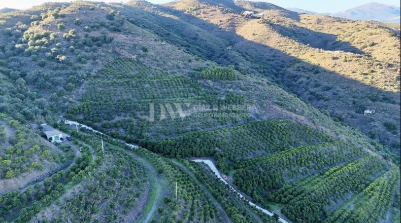 Málaga - Vélez-Málaga - 180000m2