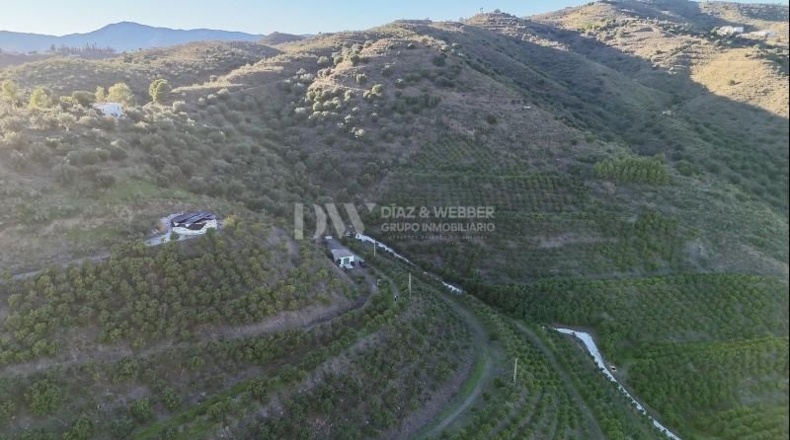 Málaga - Vélez-Málaga - 180000m2