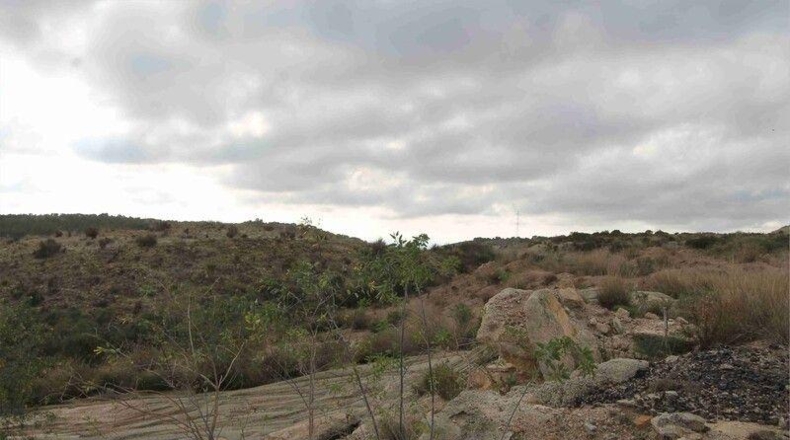 Murcia - Murcia - 999999m2