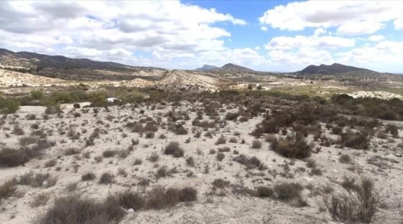 Murcia - Murcia - 999999m2