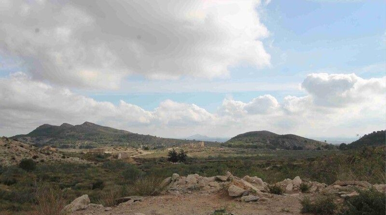 Murcia - Murcia - 999999m2