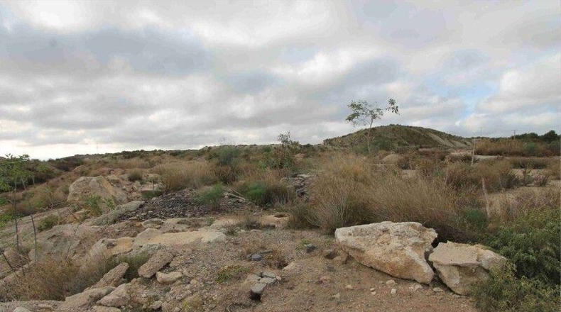 Murcia - Murcia - 999999m2