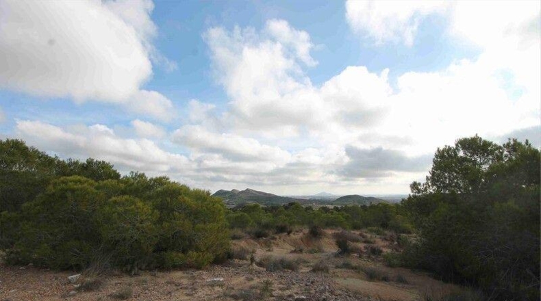 Murcia - Murcia - 999999m2