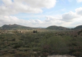 Parcel·la urbanitzable en venda a la España, Favanella, ref.: TR333468 foto