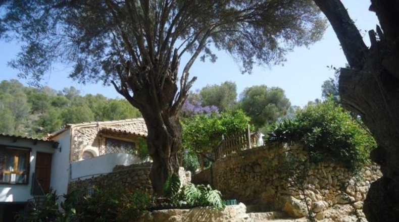 Islas Baleares - Palma - 10230m2
