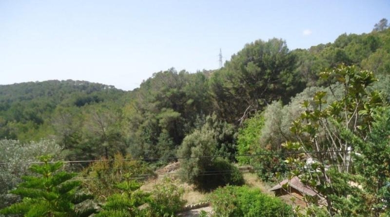 Islas Baleares - Palma - 10230m2