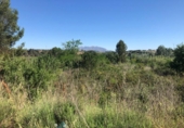 Non-developable land for sale on España, Gelida, ref: TR120013 photo